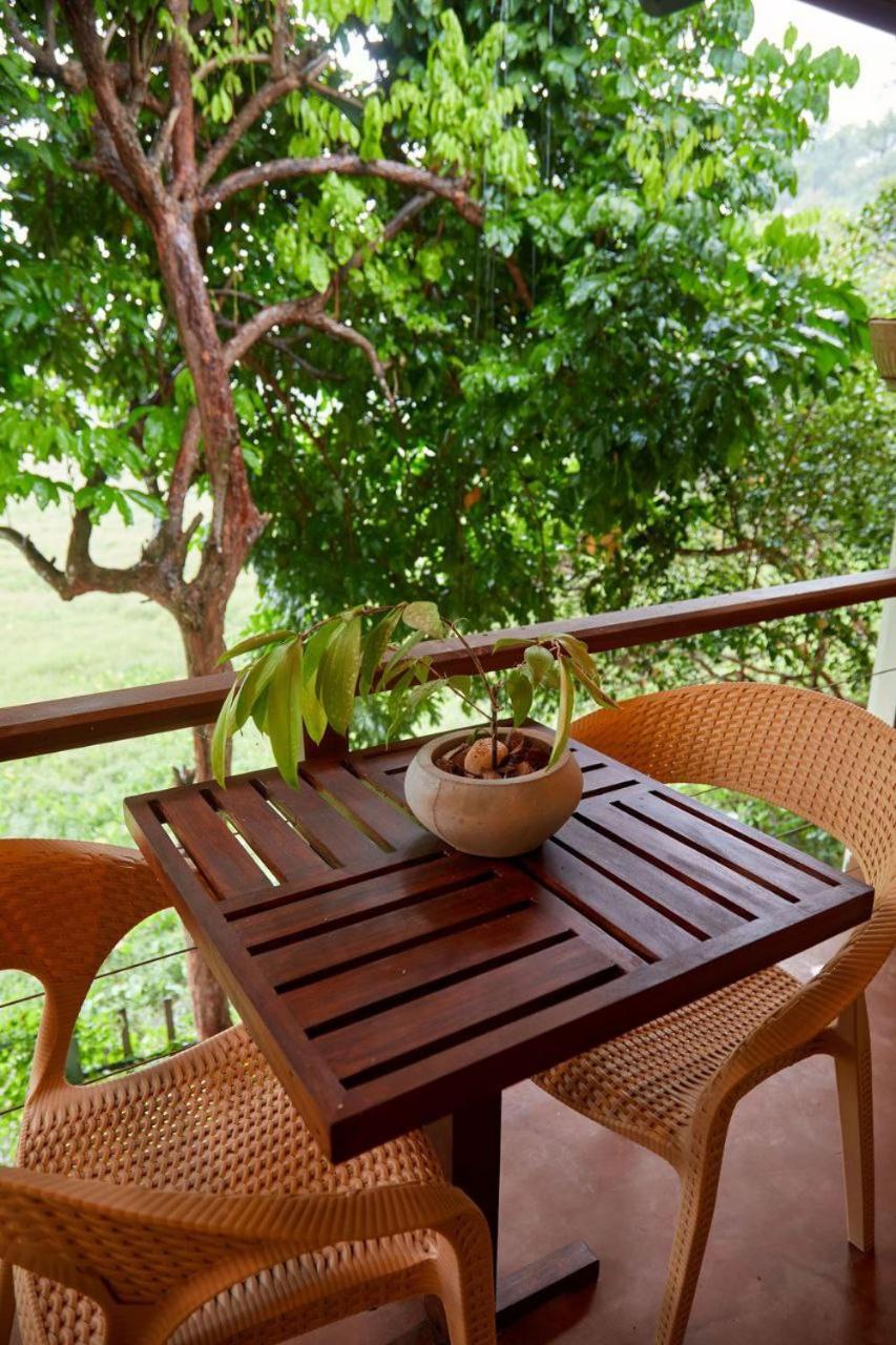 Green View Homestay Galle Exteriör bild
